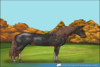 Horse Color:Liver Chestnut Tobiano 