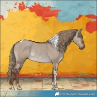 Horse Color:Liver Red Dun Tobiano 