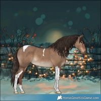 Horse Color:Liver Red Dun Tobiano 