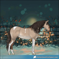 Horse Color:Liver Red Dun Tobiano