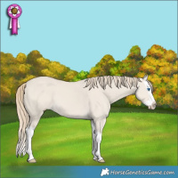 Horse Color:Smoky Creme Dun Splash 