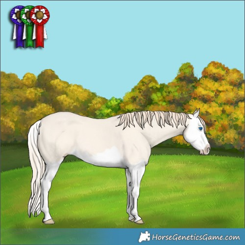 Horse Color:Perlino Dun Splash 