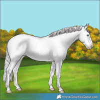 Horse Color:Amber Cream Champagne Ice Pearl Splash 