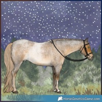 Horse Color:Chocolate Palomino Roan Mushroom 