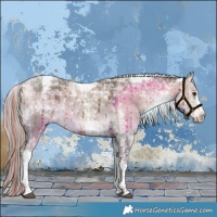 Horse Color:Painted Plaid  White Spotted Liver Red Dun Tobiano Brindle 
