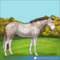 Horse Color:Liver Red Dun Ice Splash 