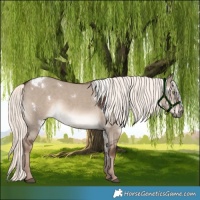 Horse Color:White Spotted Liver Red Dun Mushroom Rabicano