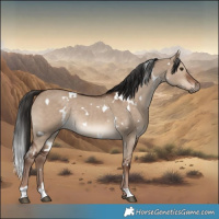 Horse Color:White Spotted Liver Red Dun Rabicano 
