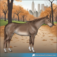 Horse Color:Liver Red Dun Tobiano Rabicano 