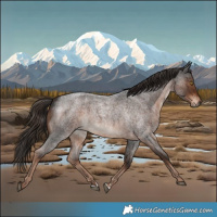 Horse Color:Liver Red Roan 