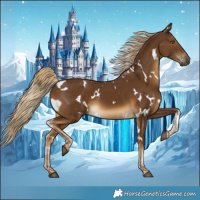 Horse Color:White Spotted Chocolate Palomino 