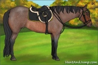 Horse Color:Bay Roan Frame 