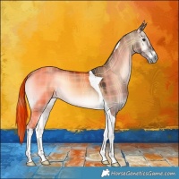 Horse Color:Plaid  Liver Red Dun Onyx Tobiano 