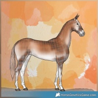 Horse Color:Plaid  Chocolate Palomino Onyx Tobiano 
