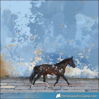 Horse Color:White Spotted Brown 