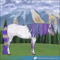 Horse Color:Watercolor Plaid Liver Red Dun Roan Sabino Brindle