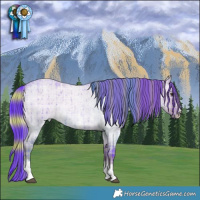 Horse Color:Watercolor Plaid  Liver Red Dun Roan Sabino Brindle 