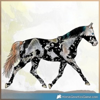 Horse Color:Watercolor Liver Red Dun Ice Onyx Splash Tobiano
