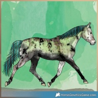 Horse Color:Void Painted Plaid  White Spotted Liver Red Dun Onyx Tobiano Brindle 