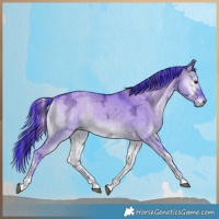 Horse Color:Painted Watercolor Liver Red Dun Ice Onyx Tobiano Brindle