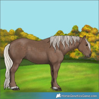 Horse Color:Silver Black 