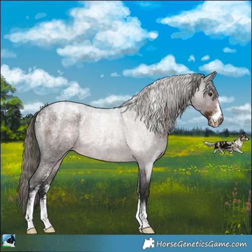Horse Color:Powder White Liver Red Roan Mushroom