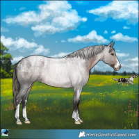Horse Color:Powder White Liver Red Roan Mushroom 