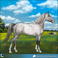 Horse Color:Powder White Liver Red Roan Mushroom