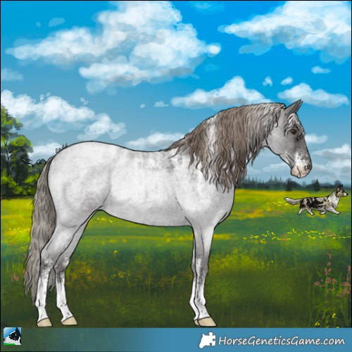 Horse Color:Powder White Liver Red Roan Mushroom 