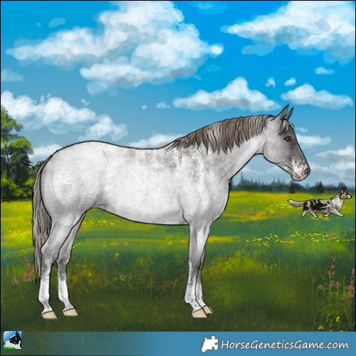 Horse Color:Powder White Liver Red Roan Mushroom 