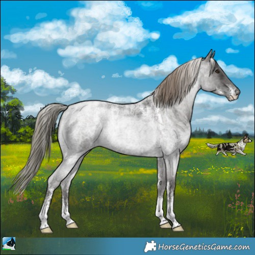 Horse Color:Powder White Liver Red Roan Mushroom 