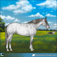 Horse Color:Powder White Liver Red Roan Mushroom
