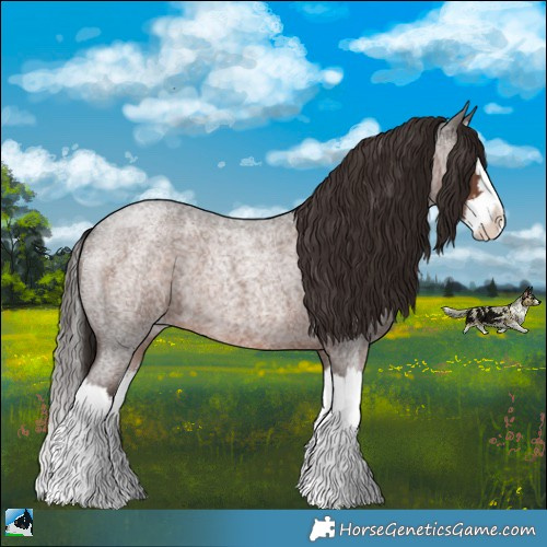 Horse Color:Liver Red Roan Sabino Splash 