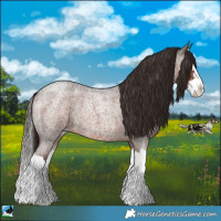 Horse Color:Liver Red Roan Sabino Splash