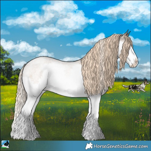 Horse Color:White Spotted Chocolate Palomino Roan Splash Rabicano 