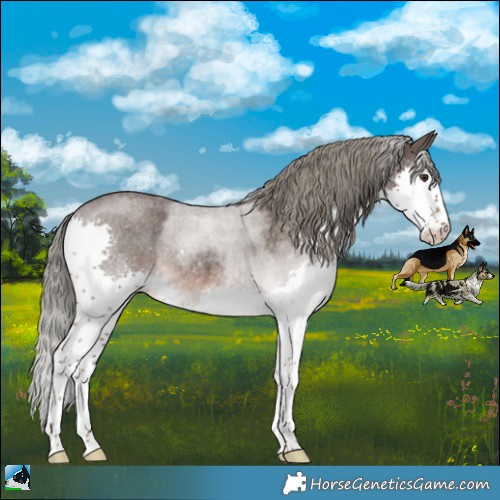 Horse Color:Liver Red Roan Mushroom Sabino Splash Rabicano 