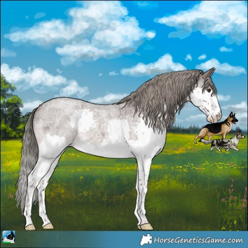 Horse Color:Liver Red Roan Mushroom Splash Rabicano