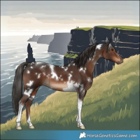 Horse Color:White Spotted Liver Chestnut Tobiano 