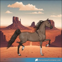 Horse Color:Liver Red Dun Tobiano 