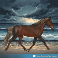 Horse Color:White Spotted Liver Chestnut Varnish 