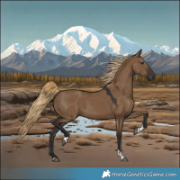 Horse Color:Gray White Spotted Liver Red Dun Tobiano