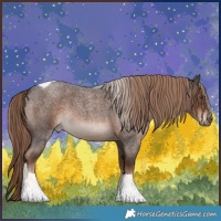 Horse Color:Liver Red Roan Tobiano 