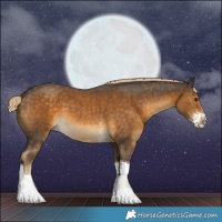 Horse Color:Chocolate Palomino Sabino Tobiano 