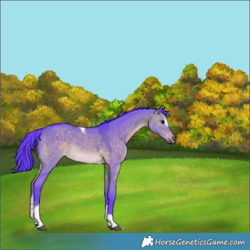 Horse Color:Watercolor Brown Dun Sabino Tobiano Rabicano 