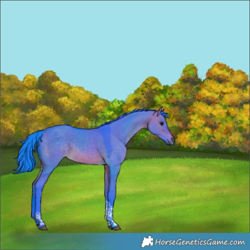 Horse Color:Watercolor Brown Dun Tobiano Rabicano 