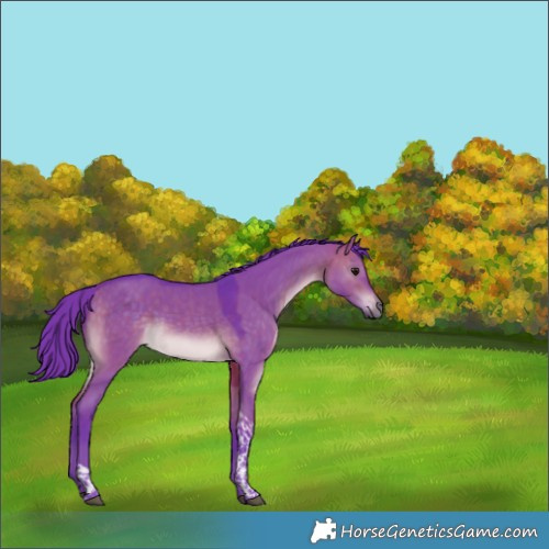 Horse Color:Watercolor Brown Dun Tobiano Rabicano 