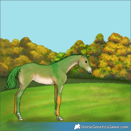 Horse Color:Watercolor Brown Dun Tobiano Rabicano 