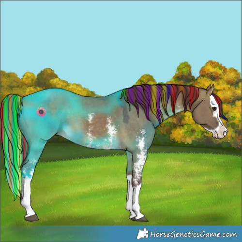 Horse Color:Painted Chocolate Buckskin Dun Sabino Splash 