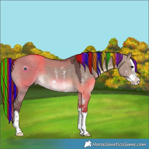 Horse Color:Painted Chocolate Brown Dun Sabino Splash 