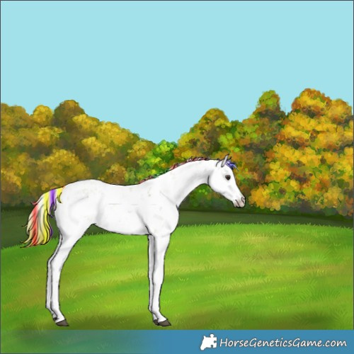 Horse Color:Painted Watercolor Liver Red Dun Sabino 